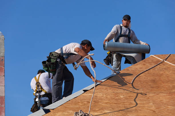 Best New Roof Installation  in Somers, WI