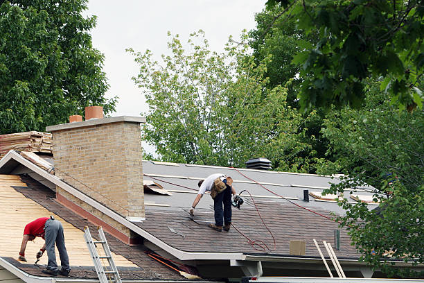 Best Local Roofing Companies  in Somers, WI